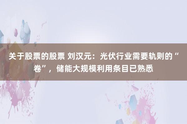 关于股票的股票 刘汉元：光伏行业需要轨则的“卷”，储能大规模利用条目已熟悉
