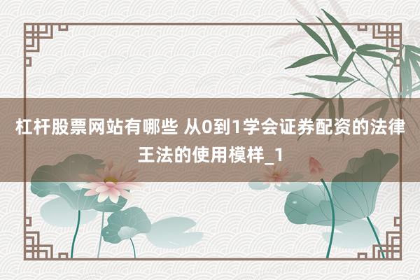 杠杆股票网站有哪些 从0到1学会证券配资的法律王法的使用模样_1